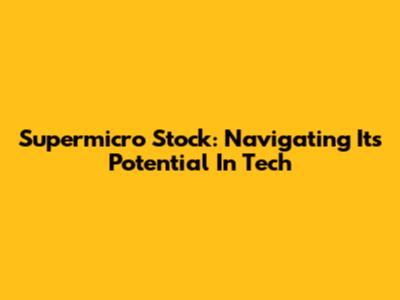 Supermicro Stock: Navigating Its Potential In Tech