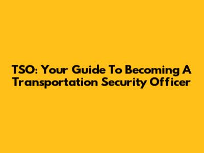 TSO: Your Guide To Becoming A Transportation Security Officer