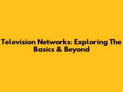 Television Networks: Exploring The Basics & Beyond