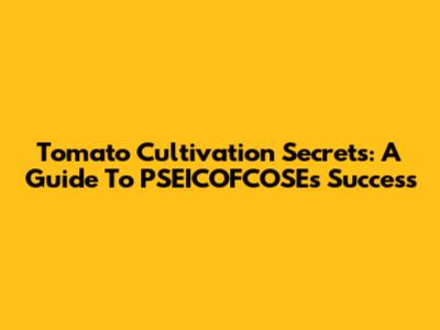 Tomato Cultivation Secrets: A Guide To PSEICOFCOSE's Success