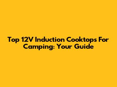 Top 12V Induction Cooktops For Camping: Your Guide