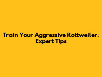 Train Your Aggressive Rottweiler: Expert Tips
