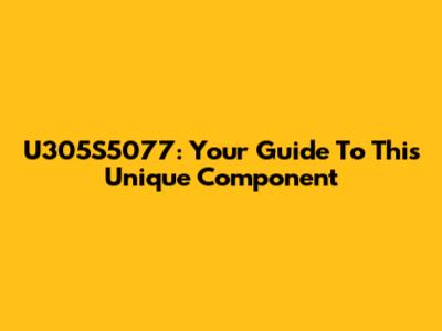 U305S5077: Your Guide To This Unique Component