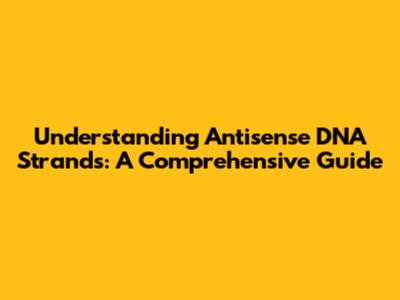 Understanding Antisense DNA Strands: A Comprehensive Guide