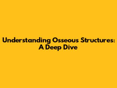 Understanding Osseous Structures: A Deep Dive