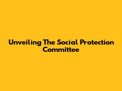 Unveiling The Social Protection Committee