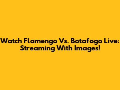 Watch Flamengo Vs. Botafogo Live: Streaming With Images!