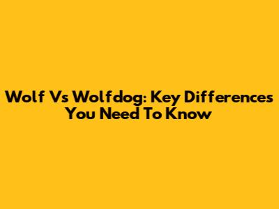 Wolf Vs Wolfdog: Key Differences You Need To Know