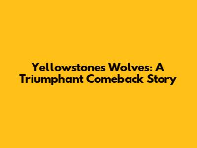 Yellowstone's Wolves: A Triumphant Comeback Story