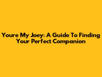 You're My Joey: A Guide To Finding Your Perfect Companion